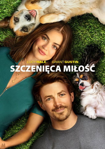 Okładka filmu Szczenięca miłość