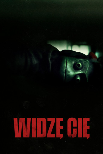 Okładka filmu Widzę cię