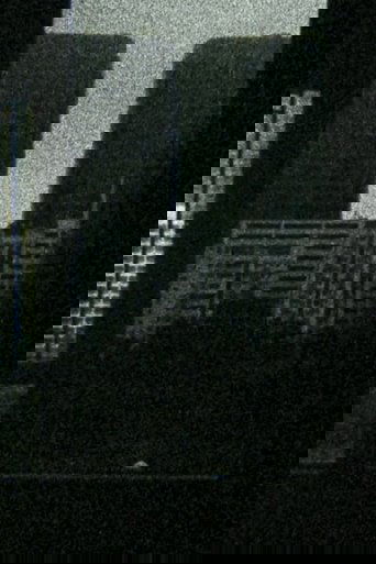 Oscillation