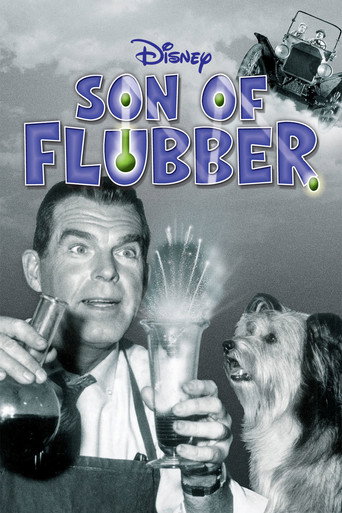 Son of Flubber 在线观看和下载完整电影