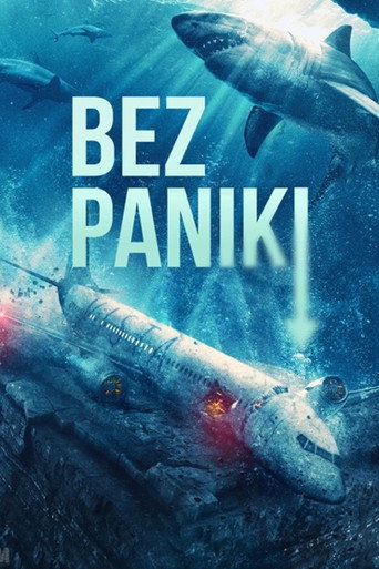 Okładka filmu Bez paniki