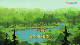 Aquafrog