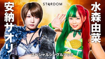 Stardom Golden Week Fight Tour 2024 in Kumamoto