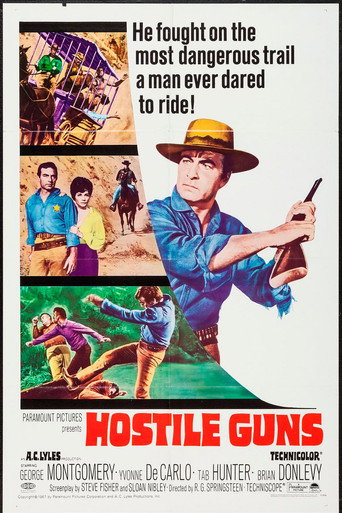 Hostile Guns 在线观看和下载完整电影