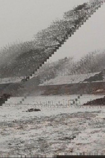 Attacking Zhanggao Village