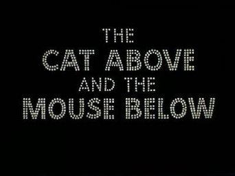 The Cat Above and the Mouse Below