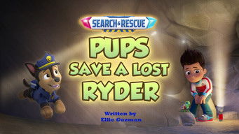 Search and Rescue: Pups Save a Lost Ryder