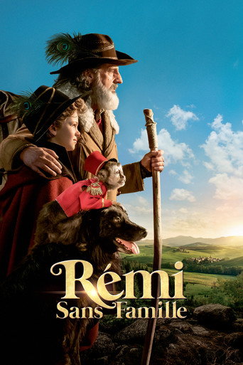 Okładka filmu Przygody małego Remiego