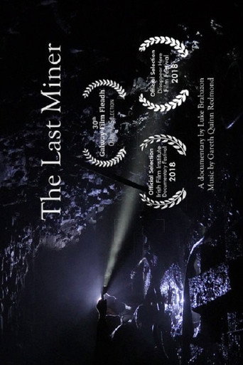 The Last Miner 在线观看和下载完整电影