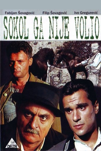 Movie Sokol Did Not Love Him Poster Images, BackDrops Images, Logo Images posters 0 /aXqqic0rdSs2wsAuUYrFXFkgwFB.jpg