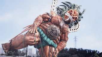 The Sumo Boy From The Mountains