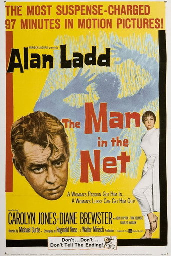 The Man in the Net 在线观看和下载完整电影