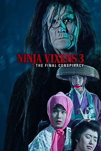 The Ninja Vixens III: The Final Conspiracy