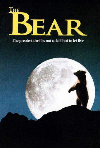L'ours 在线观看和下载完整电影