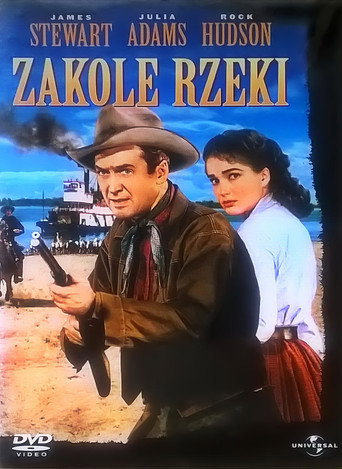 Okładka filmu Zakole rzeki