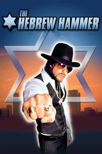 The Hebrew Hammer 在线观看和下载完整电影