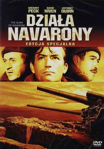 Okładka filmu Działa Navarony