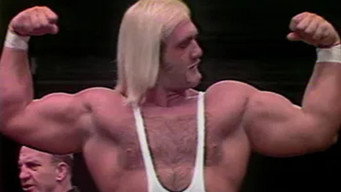 All Star Wrestling - December 20, 1980