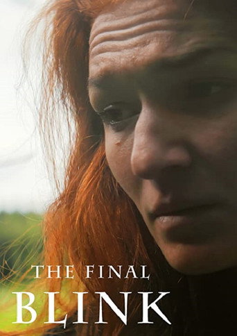 Okładka filmu The Final Blink