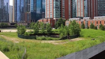 Chicago Spire