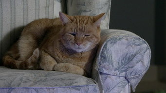 Tuesday, December 24th 2019 episode still image