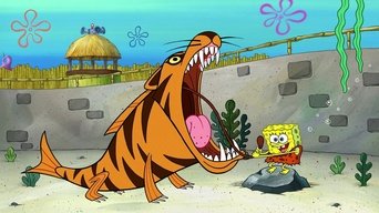 Who R Zoo?
