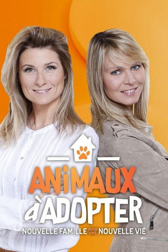 Affiche de Animaux à adopter