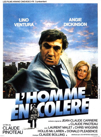 L'Homme en colère 在线观看和下载完整电影
