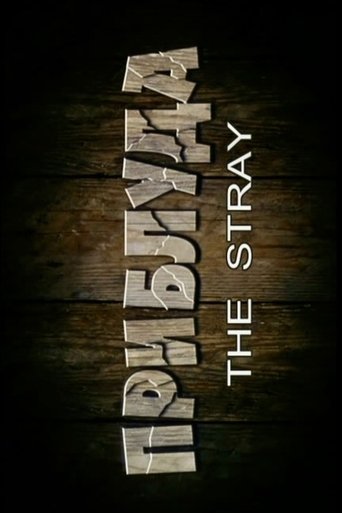 The Stray