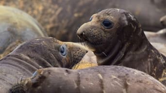 Monterey Bay National Marine Sanctuary, USA