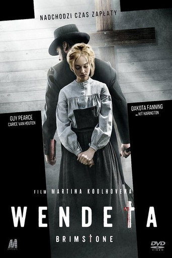 Okładka filmu Wendeta