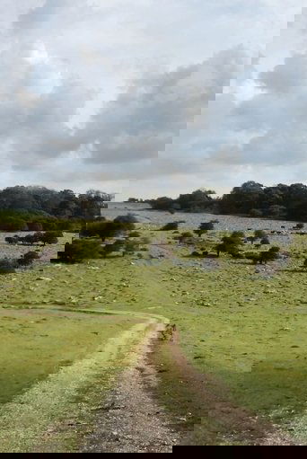 Journey to Avebury