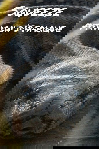 Squeeze: African Python