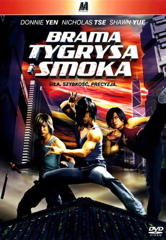 Okładka filmu Brama Tygrysa i Smoka