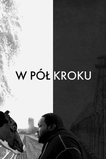 Okładka filmu W pół kroku