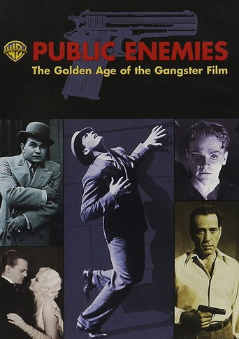 Public Enemies: The Golden Age of the Gangster Film 在线观看和下载完整电影