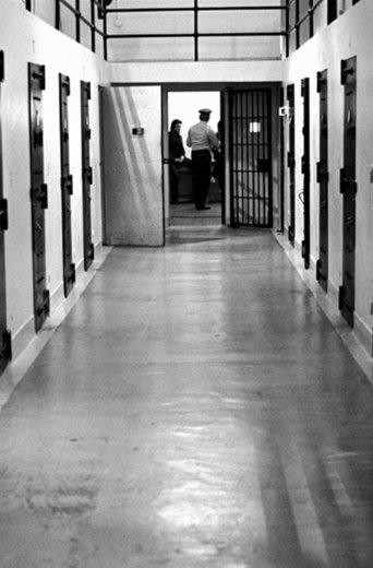 A Warehouse for Bodies