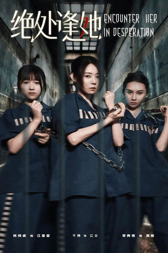 Poster of 绝处逢她 (2025)