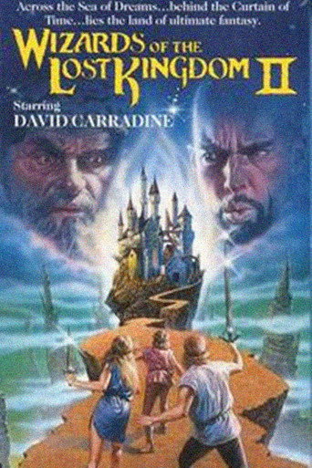 Wizards of the Lost Kingdom II 在线观看和下载完整电影