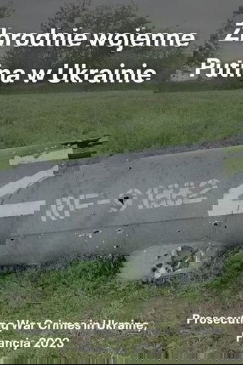 Prosecuting War Crimes in Ukraine