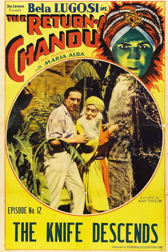 The Return of Chandu 在线观看和下载完整电影