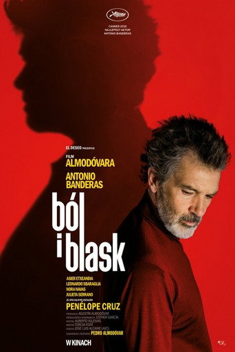 Okładka filmu Ból i blask
