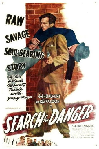 Search for Danger 在线观看和下载完整电影