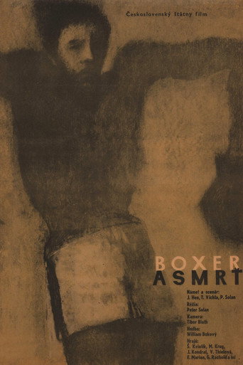 Boxer a smrť 在线观看和下载完整电影