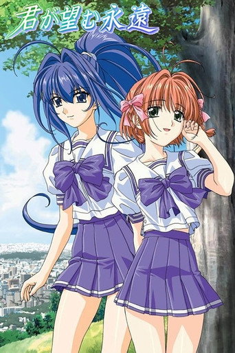 Okładka serialu 君が望む永遠