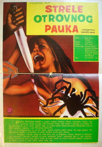 Okładka filmu Czarny odwłok tarantuli