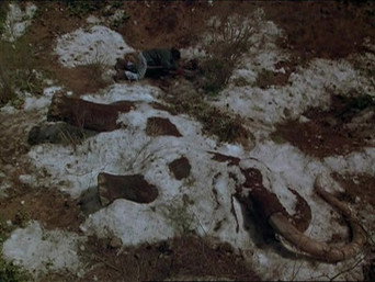 Lovers and Madmen episode still image