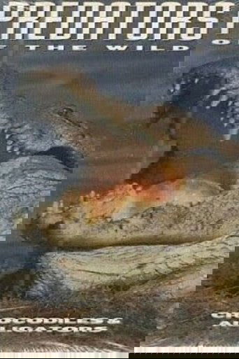 Predators of the Wild: Crocodiles and Alligators