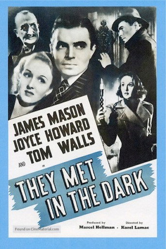 They Met in the Dark 在线观看和下载完整电影