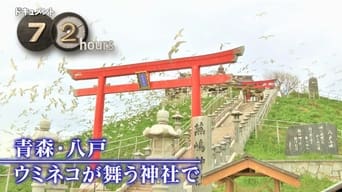 The Aomori Shrine Where "Umineko" Soar